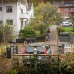 älg2